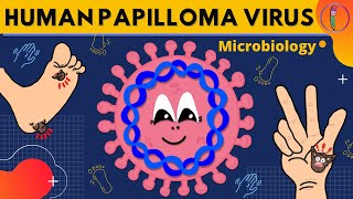 Human Papilloma Virus Microbiology  Morphology Clinical presentations Diagnosis Treatment [upl. by Hadeehuat]