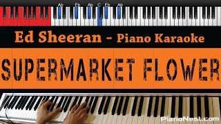 Ed Sheeran  Supermarket Flower  HIGHER Key Piano Karaoke  Sing Along [upl. by Ventura]