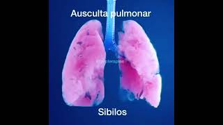 Ausculta pulmonar sibilos [upl. by Kerwin]