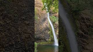 Horsetail Falls nemo eurovision2024 thecode hiking travel [upl. by Marnie113]