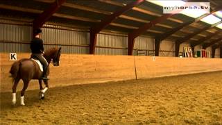 Dressage Exercise  HalfPass [upl. by Phipps]