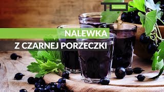 Nalewka z czarnej porzeczki [upl. by Aleiram]