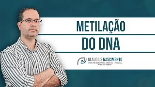 Metilação do DNA  Importância de compreender este ciclo [upl. by Nancie]