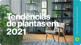 Tendências no cultivo de plantas em 2021 [upl. by Alenoel509]