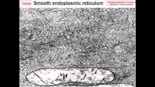 Cytology data show 2015 part1 [upl. by Einnaffit]