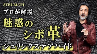 【革好き必見】魅惑のシボ革“シュリンクステアハイド”｜革ジャンメンズファッションLeather jacket [upl. by Itnava]