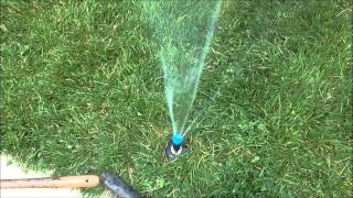 How to Replace a Pop Up Sprinkler Head [upl. by Esyli]