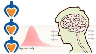 ADHD  What is it and whats the difference with ADD [upl. by Anallij]