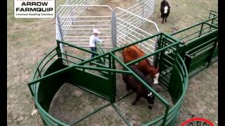 BudFlow® Force Yard  Cattle Tub  Cattle Equipment  Arrowquip [upl. by Marchese244]