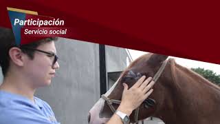 Facultad de Medicina Veterinaria y Zootecnia  UANL [upl. by Giule]