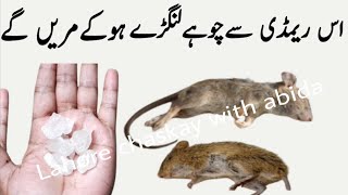 Rat killer  rat killer home remedies  rat trap  rat poision  rat  chuhe marne ka tarika [upl. by Annirak919]