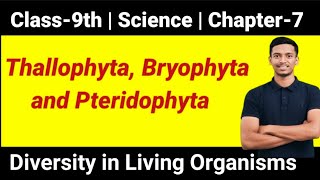 Thallophyta Bryophyta Pteridophyta  Diversity in Living Organisms class9 science ncert cbse [upl. by Ikaz]