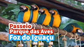 Parque das Aves em Foz do Iguaçu Um Mundo de Aviários [upl. by Bayard]