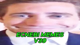 ECNEBI MEMES V39 [upl. by Wenoa]