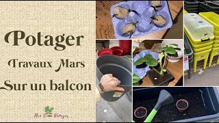 3ème épisode  Potager sur balcon en Mars [upl. by Yurik48]