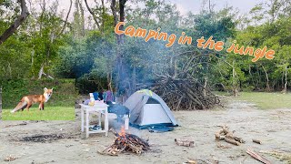 চর কুকরি মুকরি ভ্রমণ। Char KukriMukri Camping Bhola 2023bangladeshtourism [upl. by Violette]