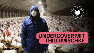 Unterwegs mit Pro7Journalist Thilo Mischke Antibiotika in der Putenmast [upl. by Notrom]