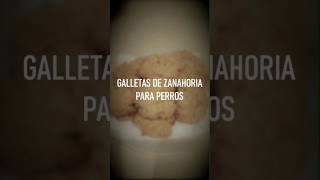 🍪RECETA EXPRÉS Galletas de zanahoria para perros💕 [upl. by Wiley]