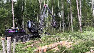 Demo in Sweden with Logset 8H GTE Hybrid and TH55 33 [upl. by Swain736]