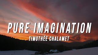 Timothée Chalamet  Pure Imagination Lyrics from Wonka [upl. by Atneciv]