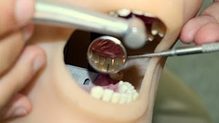 Patient and operator chair positions in Fixed Prosthodontics  Tutorial [upl. by Nivag]