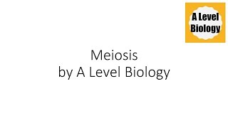 Meiosis  A Level Biology [upl. by Akcira]