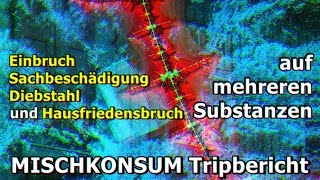 EINBRUCH und SACHBESCHÄDIGUNG auf mehreren Substanzenquot 😈👥 2CB VALIUM amp Cannabis – Eure Berichte [upl. by Aihtibat]