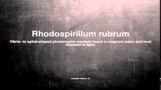 Medical vocabulary What does Rhodospirillum rubrum mean [upl. by Souvaine]