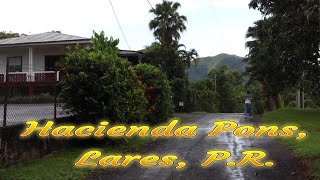 Segunda Parte Historia de la Hacienda Pons Lares PR Viajando con MrMarrero [upl. by Garrard]