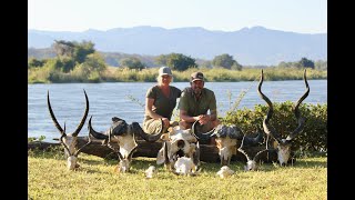 Leopard  Buffalo  Plains game Hunting Safari  Jeff amp Chastity Highlights [upl. by Clerc]