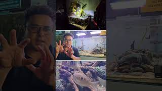 Biotope Aquarium  Betta forest Vijaynagar  Yash1th vlogs [upl. by Vizzone]