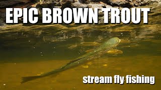 Fly Fishing HUGE BROWN TROUT in tiny water The art of hunting brown trout EPIC [upl. by Ahsetal]