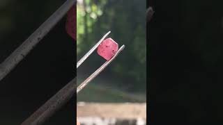 Natural Madagascar pink sapphire rough 345 carat [upl. by Millar58]