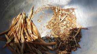 Preparing some Patersonia Seeds for Planting  A Beautiful Southern Australian Native Grass amp Flower [upl. by Hebel]