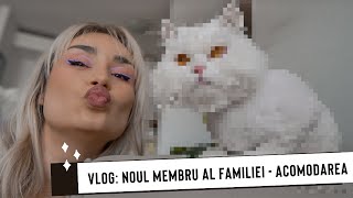 VLOG  Noul membru al familiei  Adaptarea [upl. by Reggy307]