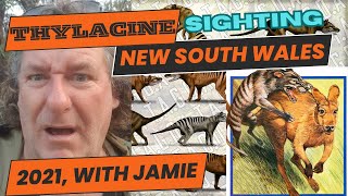 Thylacine sighting with Jamie Mt George New South Wales 2021 [upl. by Munro]