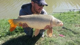 Texas Carp and Buffalo Trinity River [upl. by Kciredorb]