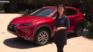 2015 Lexus NX Interior Features Walk Around  Lexus [upl. by Cuthburt]