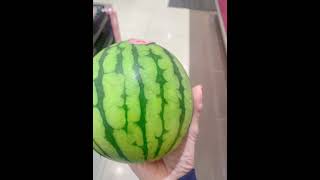 INFANTS HEAD LIKE SIZE MELON FRUIT asmr dwarfmelon  fruits satisfying viralshort [upl. by Monto]