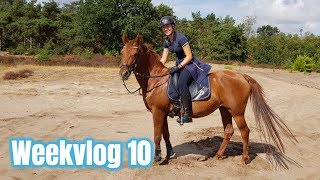 Shoppen bij de Epplejeck amp shoplog  Weekvlog 10 [upl. by Manvel]