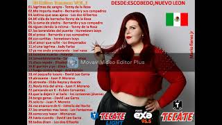 30 exitos texanos vol 1 [upl. by Aguie]