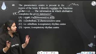 The pneumotaxic centre is present in the amphellipiamphellip region of the brain It directly re [upl. by Kyl25]