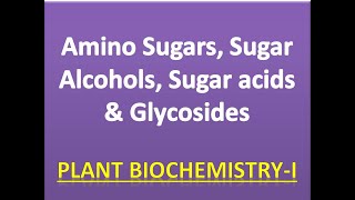 What are amino sugars sugar acids alcohols amp glycosides sugarsderivatives aminosugars [upl. by Dnanidref]