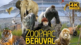 Zoo Parc De Beauval  France 🇫🇷May 2022  4K  HDR 60fps Walking Tour Part 1  A Walk In Paris [upl. by Evars]