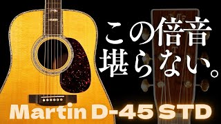 初めてのD45なら絶対コレ！【Martin D45 Standard】2017年製（完全予約制 名古屋アコギ専門店 オットリーヤギター） [upl. by Yanad572]