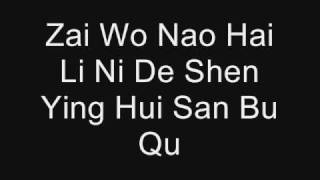 Qing Fei De Yi by Harlem Yu Lyrics PINYIN [upl. by Sybley]