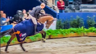 Highlights of the KWPN stallion show 2024 [upl. by Davey546]