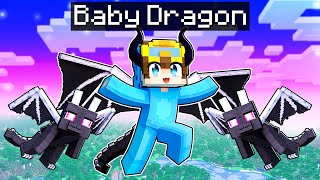 Becoming A BABY DRAGON In Minecraft [upl. by Neema]