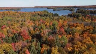 Algonquin National Park Canada  Ontario Wildlife Adventure  Explore The Top Things To Do [upl. by Enimaj]