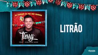 Tierry  Litrão Promocional  Atualizadão Junino [upl. by Damas]